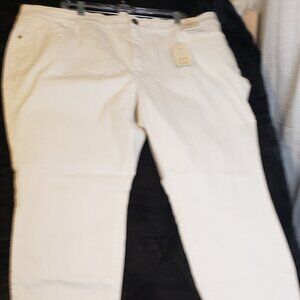 NWT St. John's Bay Skinny Leg Mid Rise White Jeans Size 28W B5-4